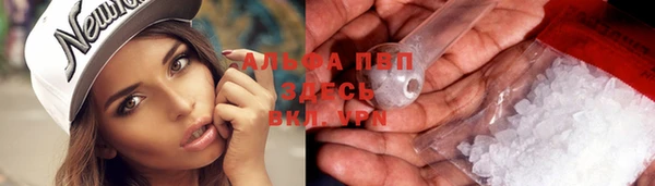ешки Новокубанск