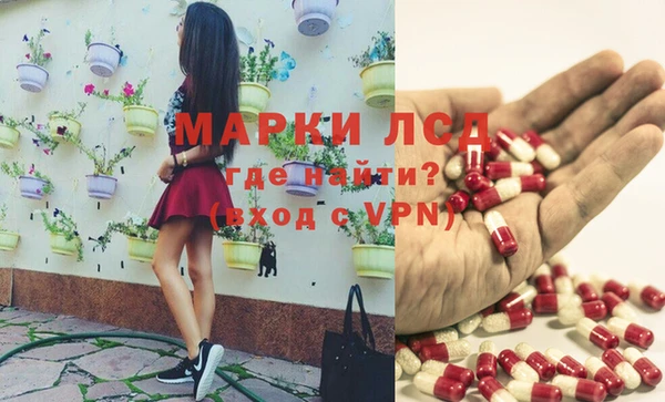 ешки Новокубанск