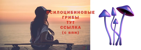 а пвп мука Новозыбков