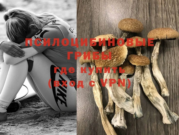 молекула духа Новодвинск