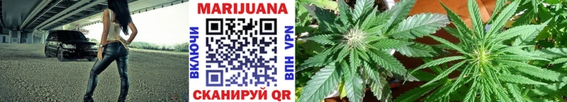наркотики  Козьмодемьянск  Бошки Шишки OG Kush 